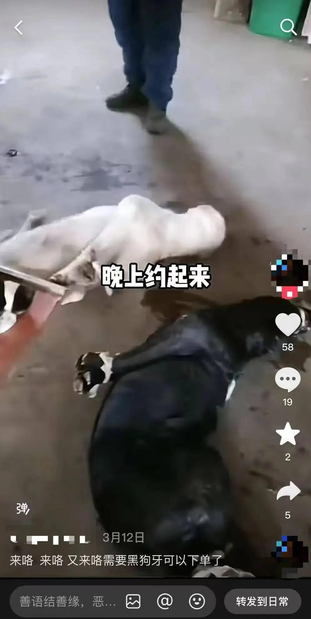 商家發(fā)布的部分視頻
