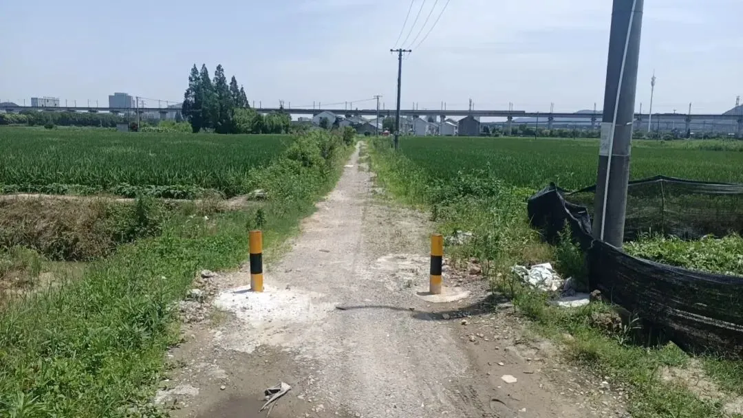 姚張村原設(shè)在農(nóng)田路邊的收費(fèi)道閘已被拆除。圖/受訪者提供