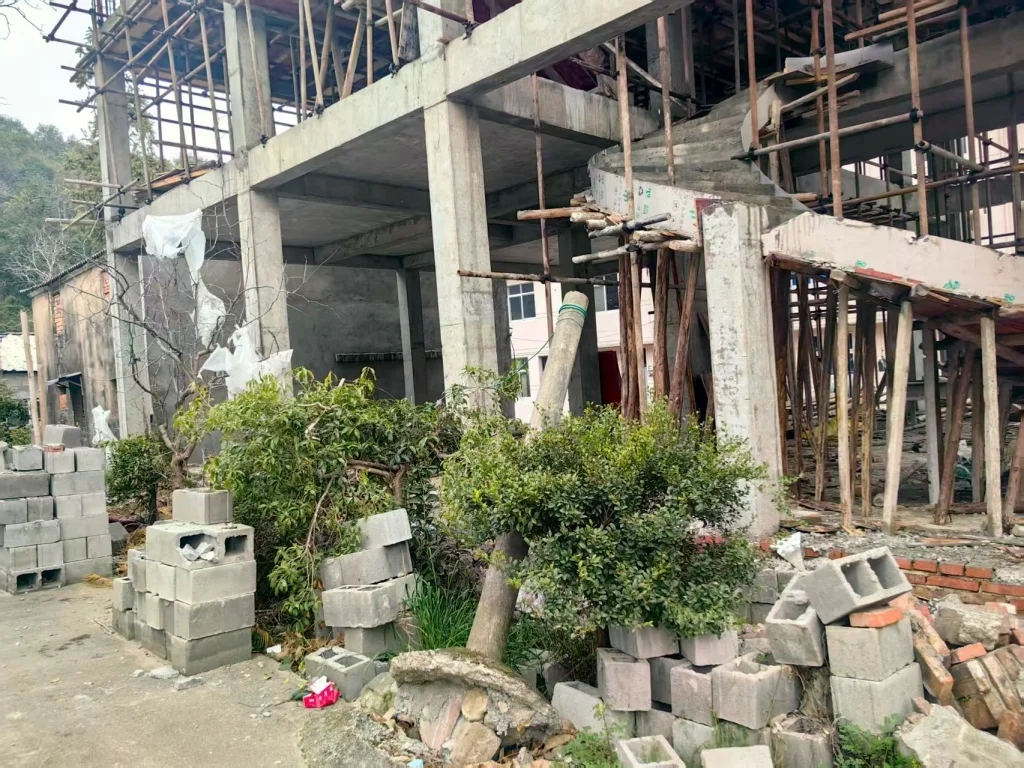 王女士自建房邊上的杜鵑樹