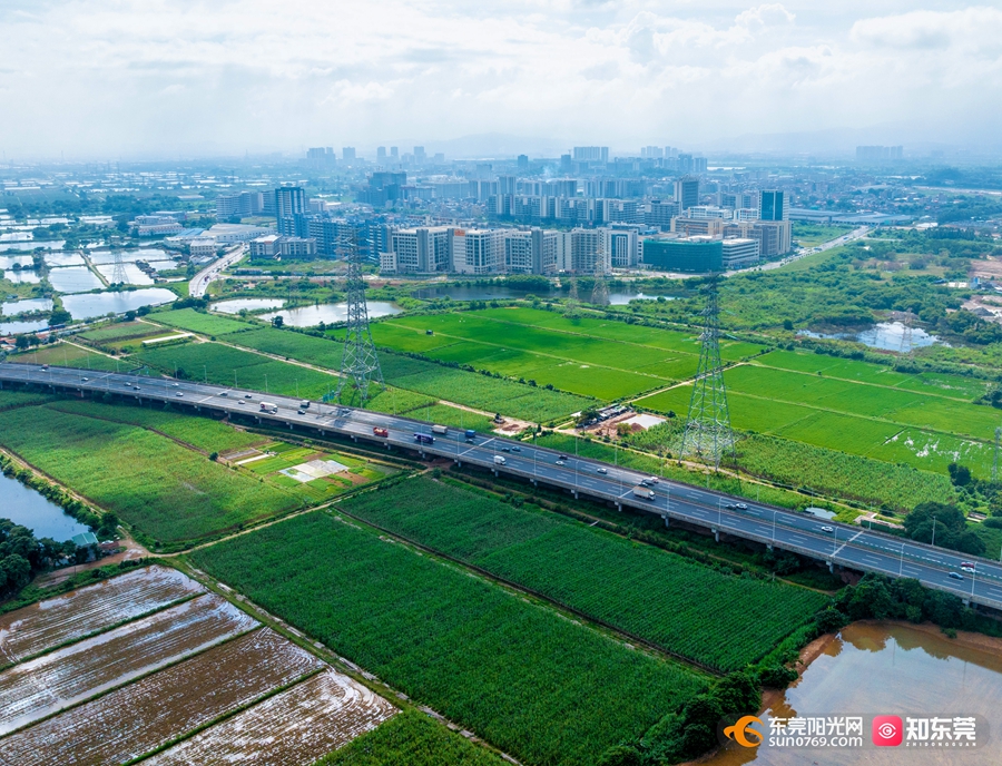 DJI_0056.jpg