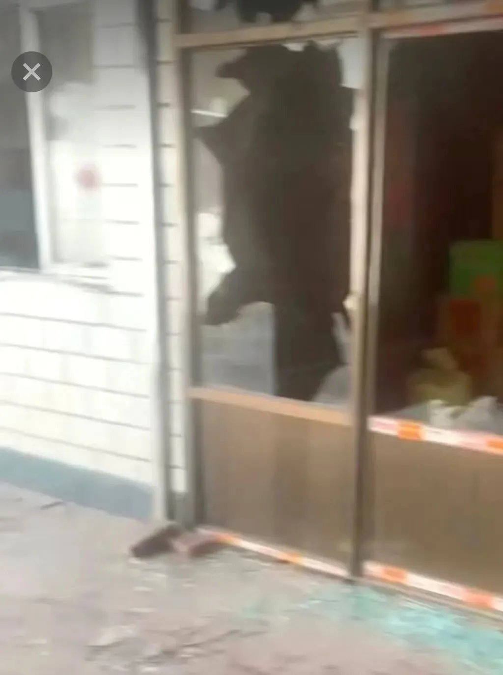 事發(fā)后現(xiàn)場(chǎng)畫面。圖片來源/申某倩